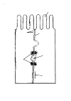 2.5 a - cell types celcontacten